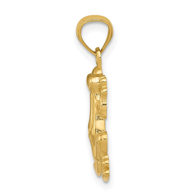 14K Yellow Gold Polished Frog Pendant