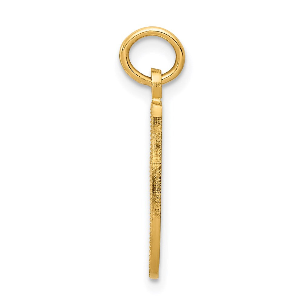 14K Yellow Gold Ballet Slipper Charm