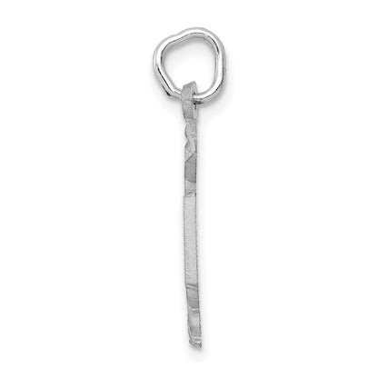 14K White Gold Rn Nurse Charm