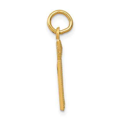 14K Yellow Gold Rn Nurse Charm