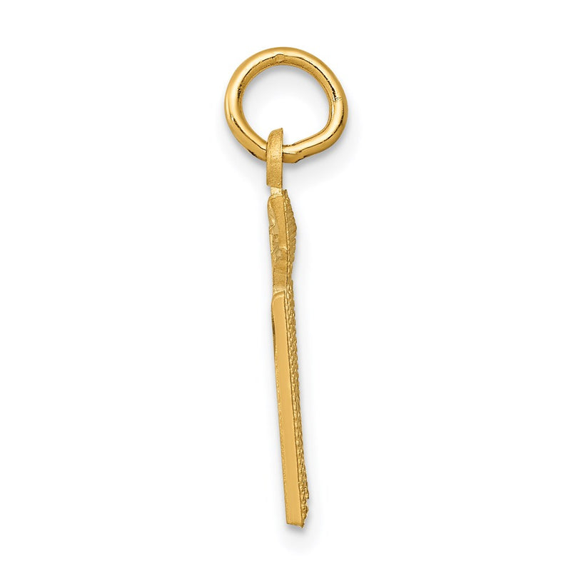 14K Yellow Gold Rn Nurse Charm