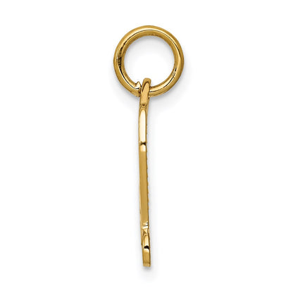 14K Yellow Gold Diploma Charm