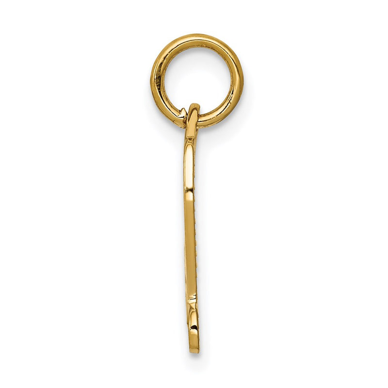 14K Yellow Gold Diploma Charm