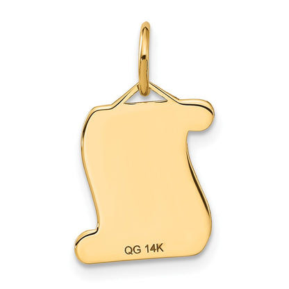 14K Yellow Gold Diploma Charm