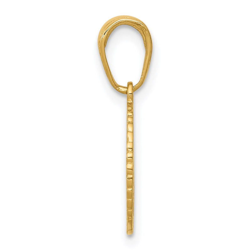 14K Yellow Gold Star Of David And Chai In Circle Pendant