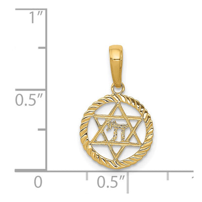 14K Yellow Gold Star Of David And Chai In Circle Pendant
