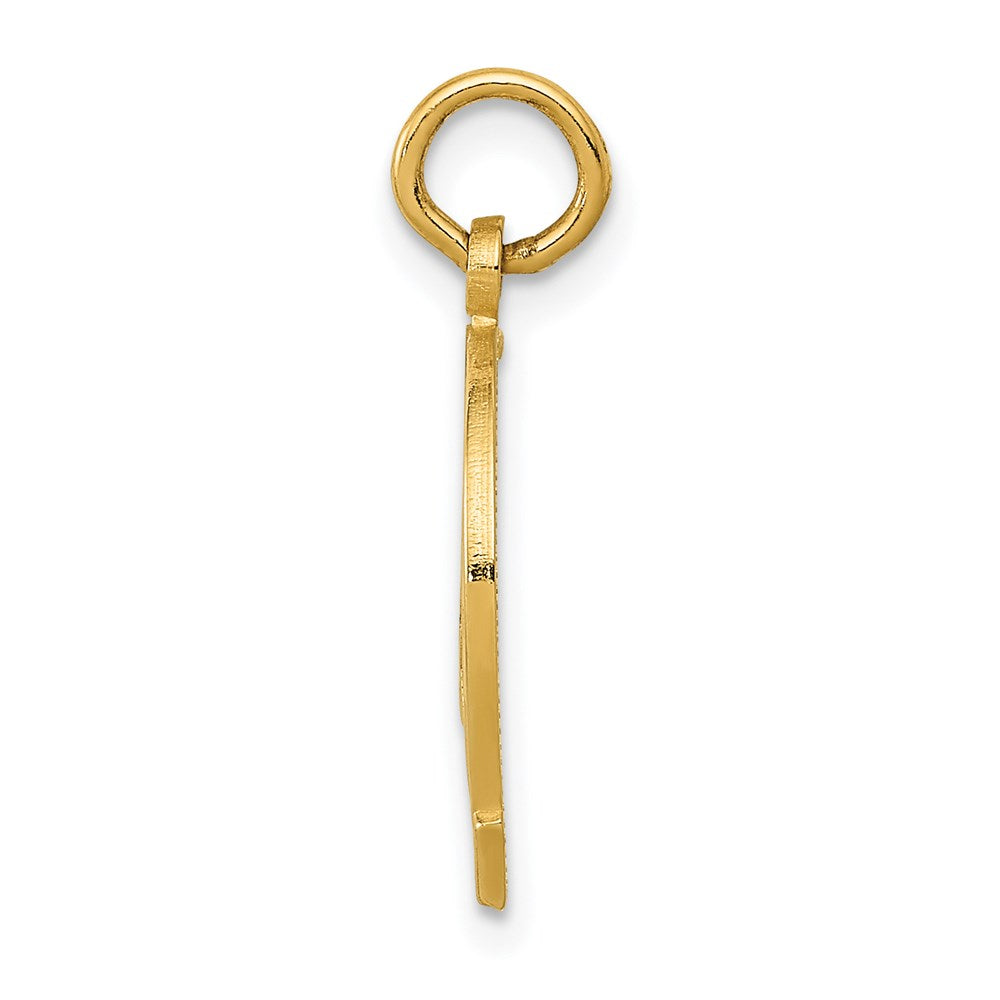 14K Yellow Gold Horseshoe Charm
