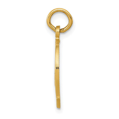 14K Yellow Gold Horseshoe Charm