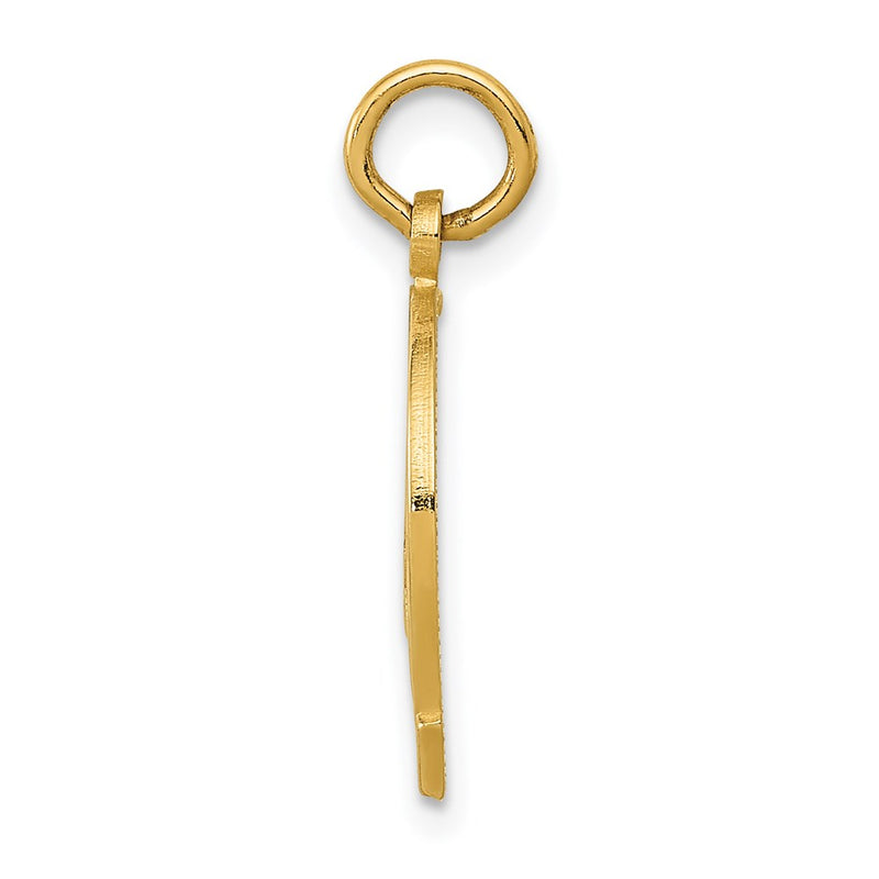 14K Yellow Gold Horseshoe Charm