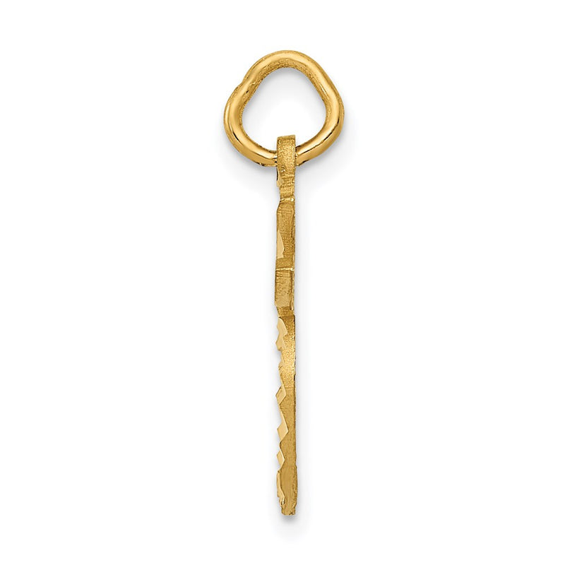 14K Yellow Gold Apple Charm