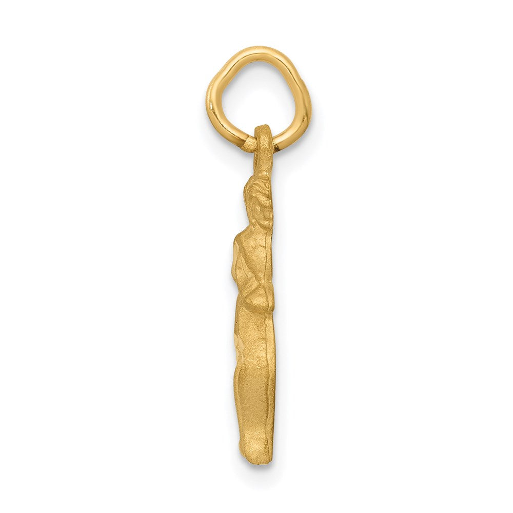 14K Yellow Gold Satin Diamond-Cut Gemini Zodiac Charm