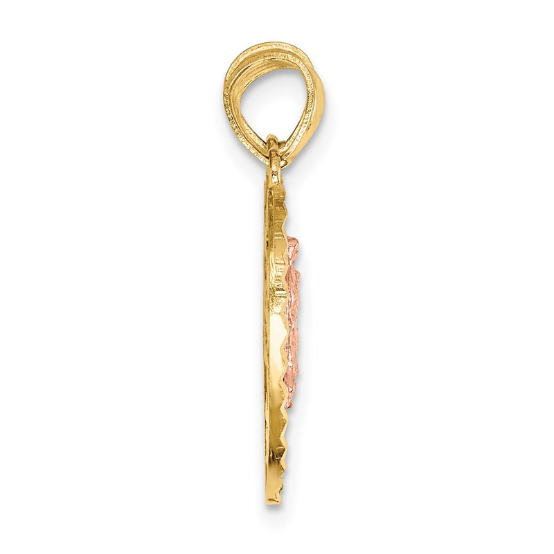 14K Two-Tone Reversible Lady Of Guadalupe&Crucifix Breakapart Pendant