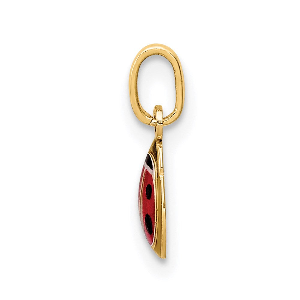 14K Yellow Gold Enamel Ladybug Charm