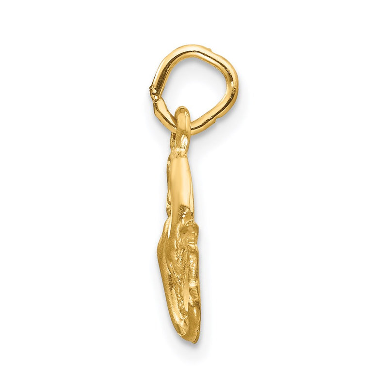 14K Yellow Gold Satin Diamond-Cut Pisces Zodiac Charm