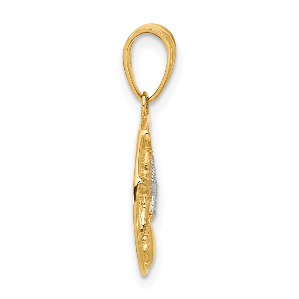 14K Yellow & Rhodium with White Rhodium Diamond Cut Starfish Seashell in Circle Pendant