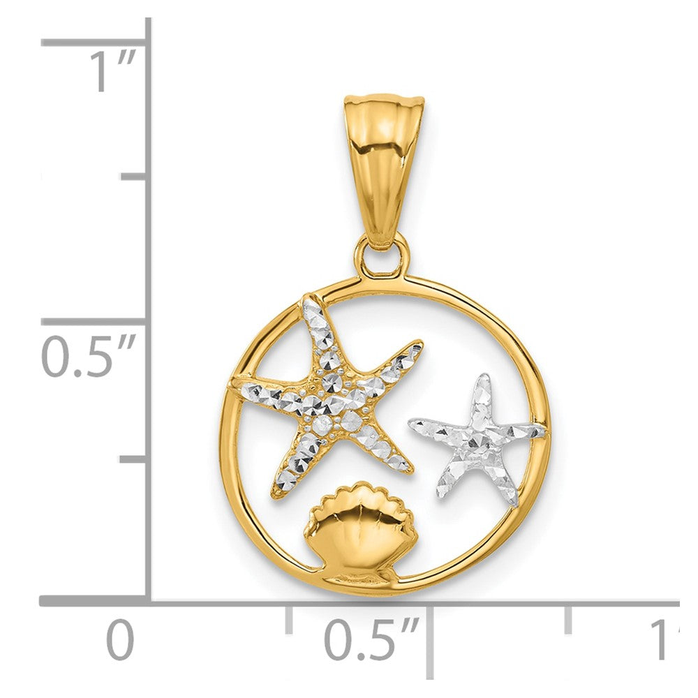 14K Yellow & Rhodium with White Rhodium Diamond Cut Starfish Seashell in Circle Pendant