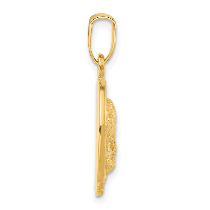 14K Yellow Gold Satin Jesus Medal Pendant