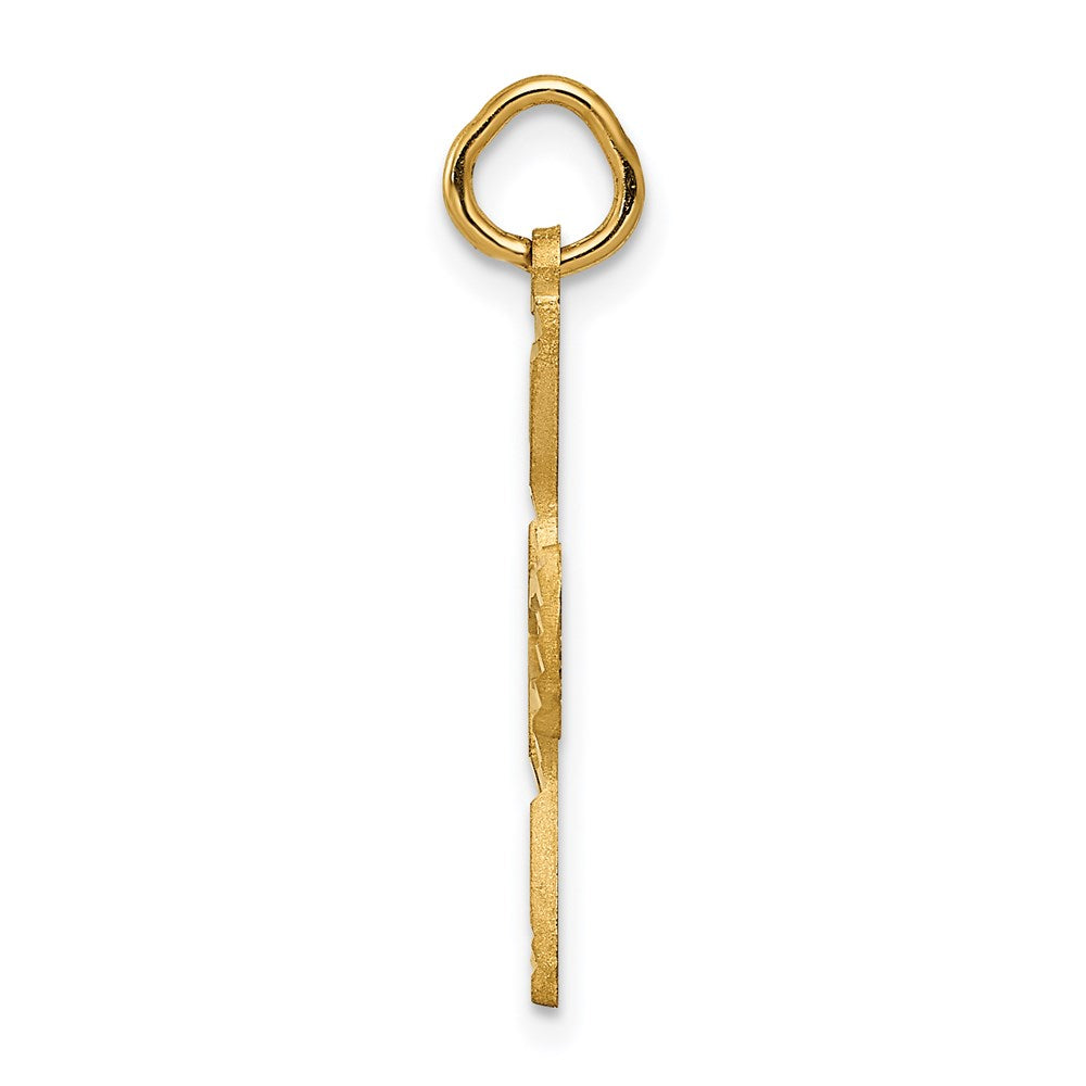 14K Yellow Gold Satin And Diamond-Cut Dove Charm