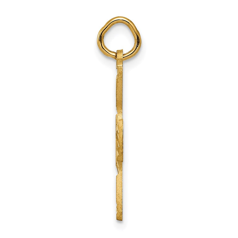 14K Yellow Gold Satin And Diamond-Cut Dove Charm
