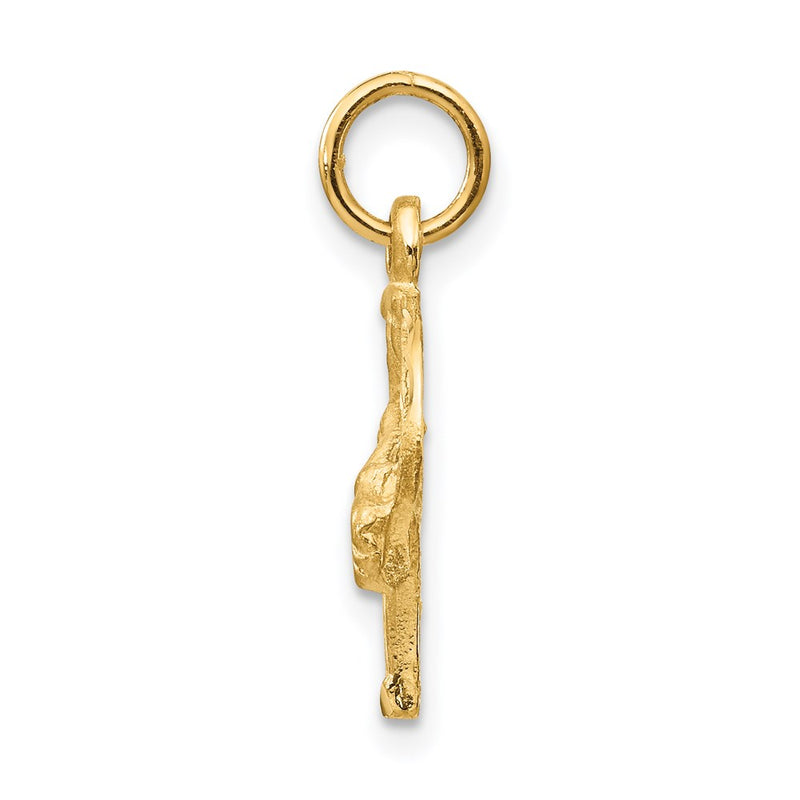 14K Yellow Gold Diamond-Cut Horse Head In Horseshoe Charm