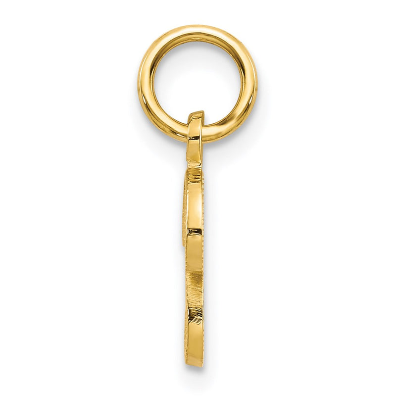 14K Yellow Gold 14Ky Script Letter P Initial Charm
