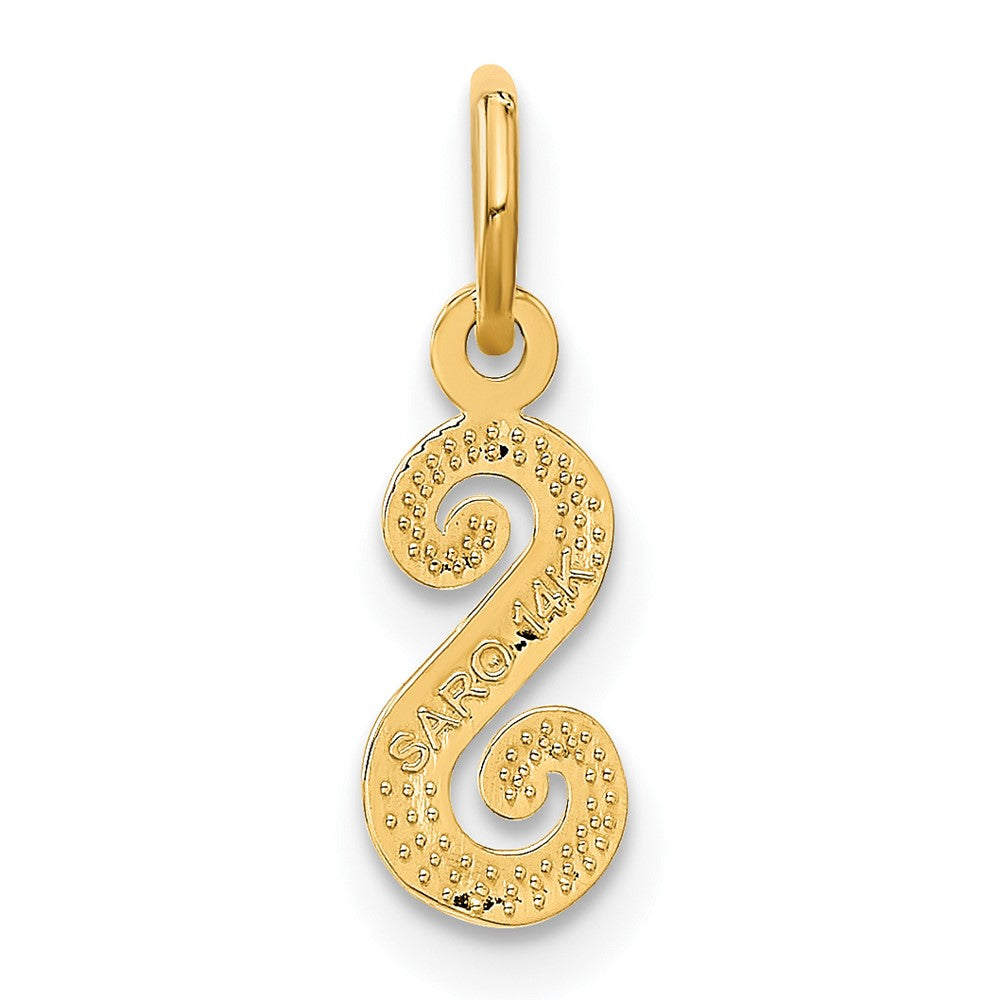 14K Yellow Gold 14Ky Script Letter S Initial Charm