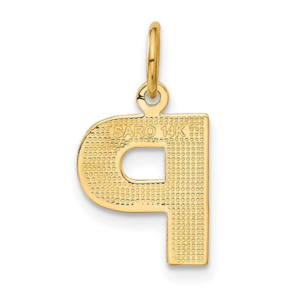 14K Yellow Gold 14Ky Satin Diamond-Cut Letter P Initial Charm
