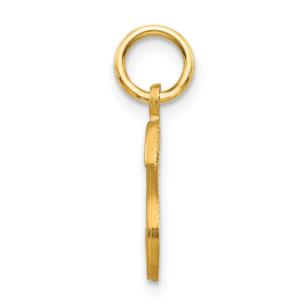 14K Yellow Gold 14Ky Satin Diamond-Cut Letter S Initial Charm