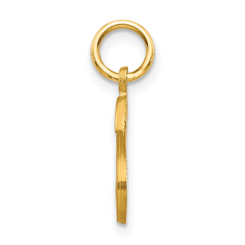 14K Yellow Gold 14Ky Satin Diamond-Cut Letter S Initial Charm