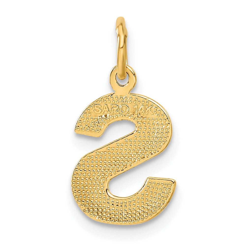 14K Yellow Gold 14Ky Satin Diamond-Cut Letter S Initial Charm