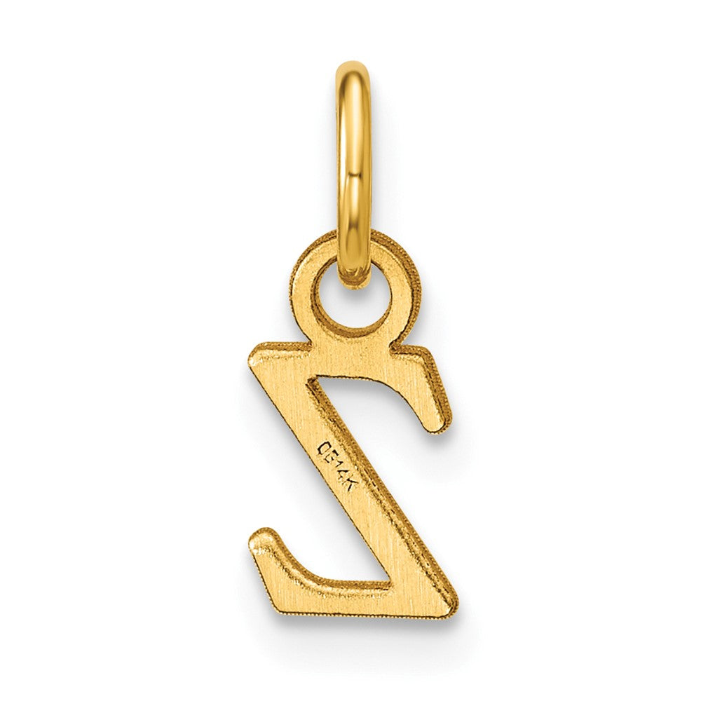 14K Yellow Gold Satin Diamond-Cut Letter Z Initial Charm