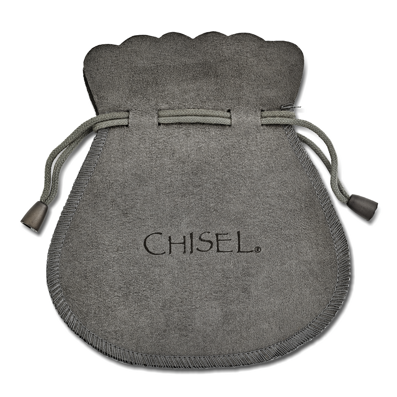 Stainless Steel Polished W/ Cz Post Earrings