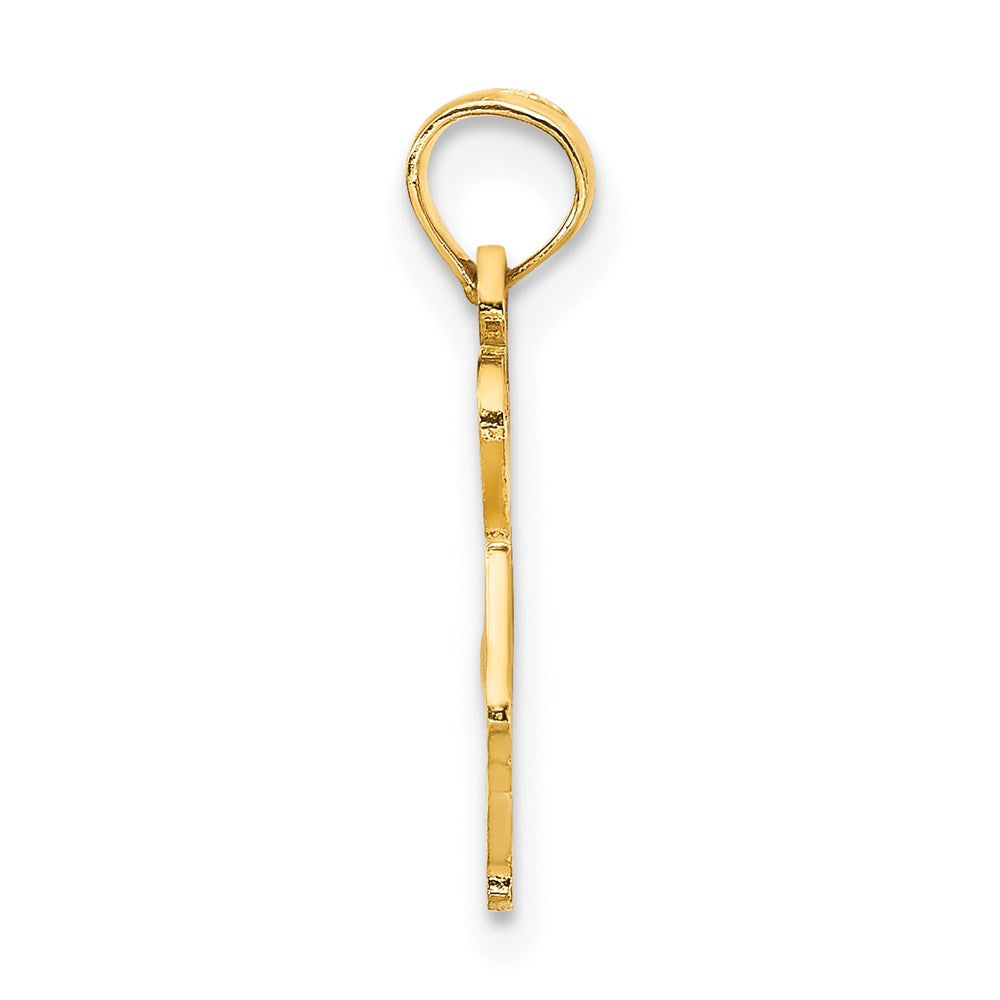 14K Yellow Gold Solid North Carolina State Pendant