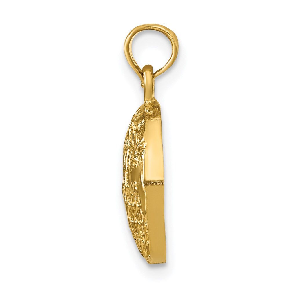 14K Yellow Gold Polished Globe Pendant