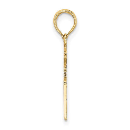 14K Yellow Gold Registered Nurse Charm