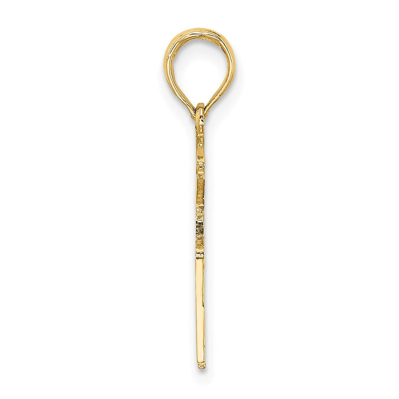 14K Yellow Gold Registered Nurse Charm