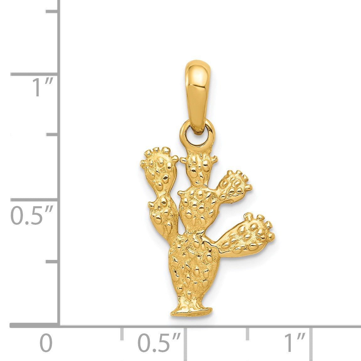 D2925 [QG:D2925:3]