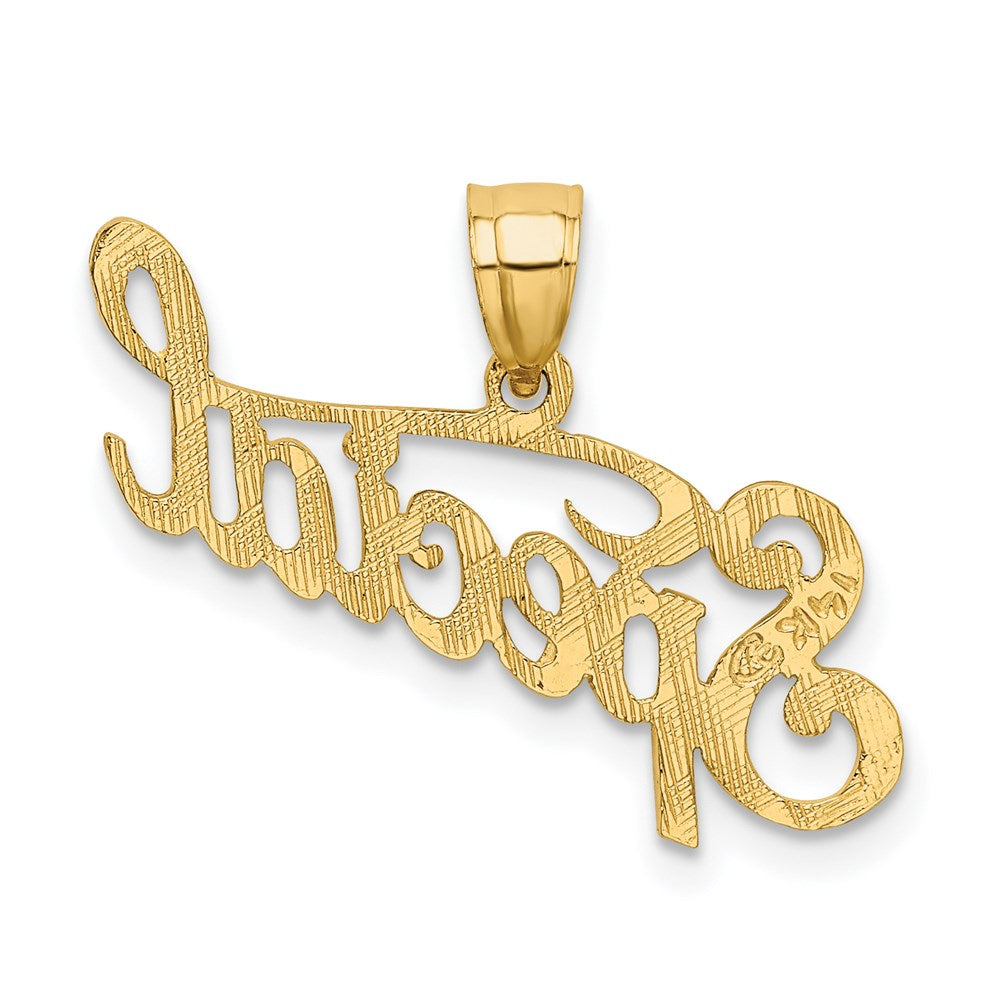 14K Yellow Gold Polished And Textured Special Charm