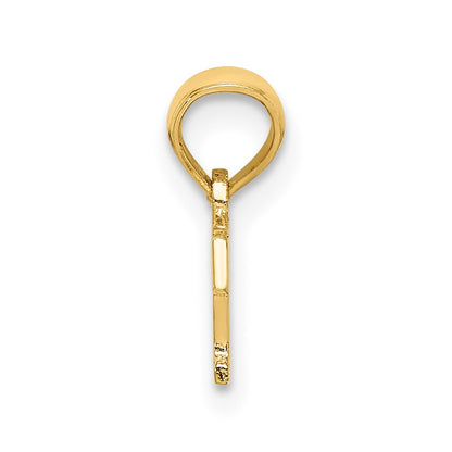 14K Yellow Gold Polished Brat Charm