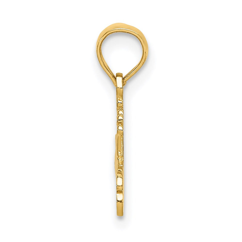 14K Yellow Gold #1 Princess Charm