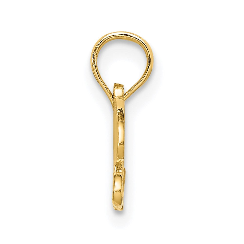 14K Yellow Gold Precious Charm