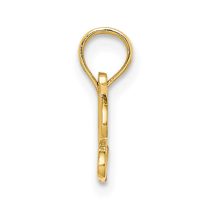 14K Yellow Gold Precious Charm