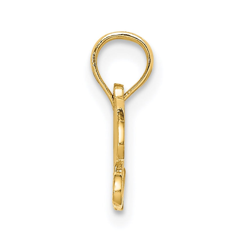 14K Yellow Gold Precious Charm