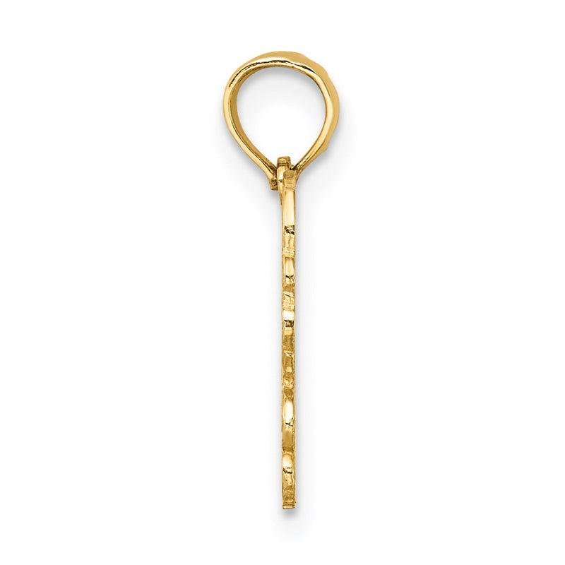 14K Yellow Gold 100% Cancer Zodiac Charm