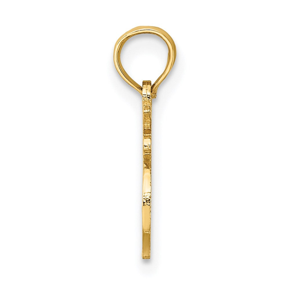 14K Yellow Gold 100% Leo Zodiac Charm