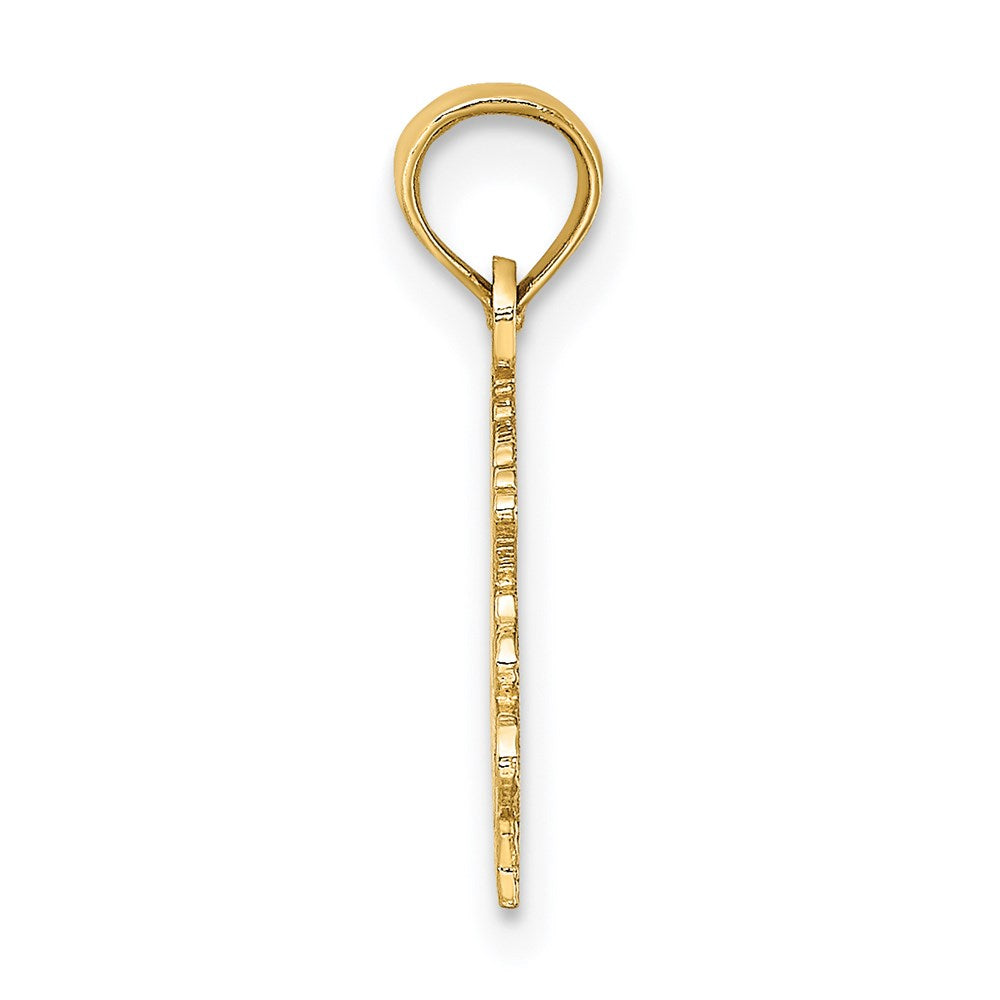 14K Yellow Gold 100% Capricorn Zodiac Charm