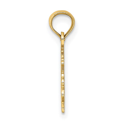 14K Yellow Gold 100% Capricorn Zodiac Charm