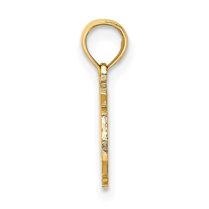 14K Yellow Gold 100% Pisces Zodiac Charm