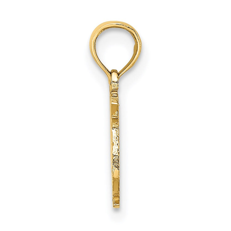 14K Yellow Gold 100% Pisces Zodiac Charm