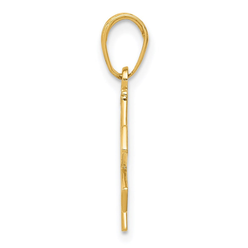 14K Yellow Gold Paramedic/Emt Symbol Pendant